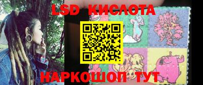 прущие грибы Малгобек