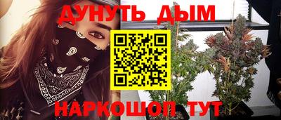 прущие грибы Малгобек